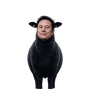 The Black Sheep